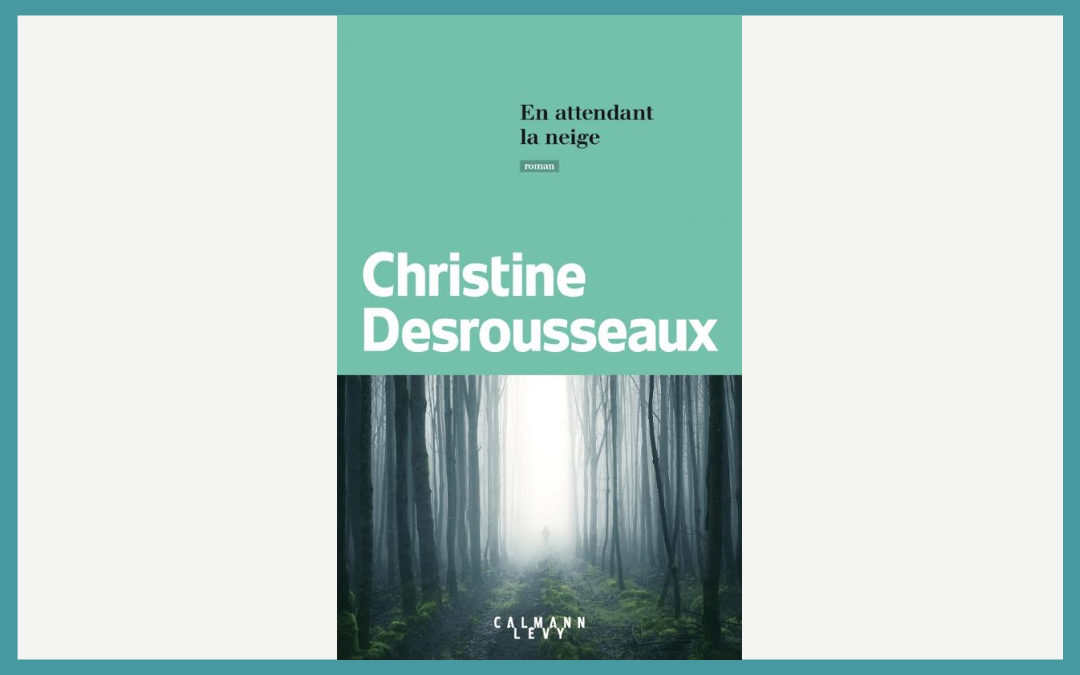 En attendant la neige – Christine Desrousseaux