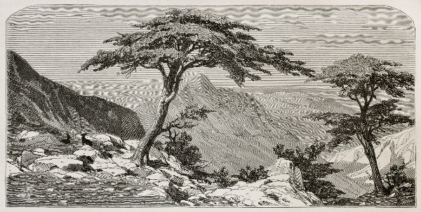 La Kabylie, illustration